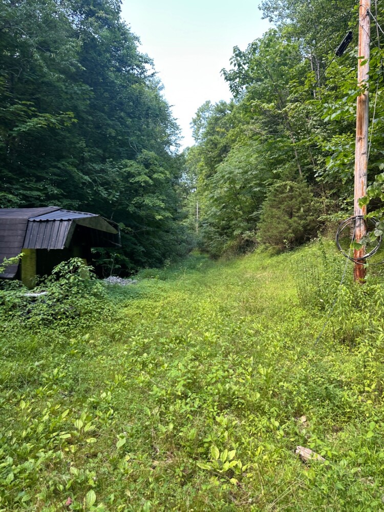 Land for Sale in Casey County, KY (12 of 34)