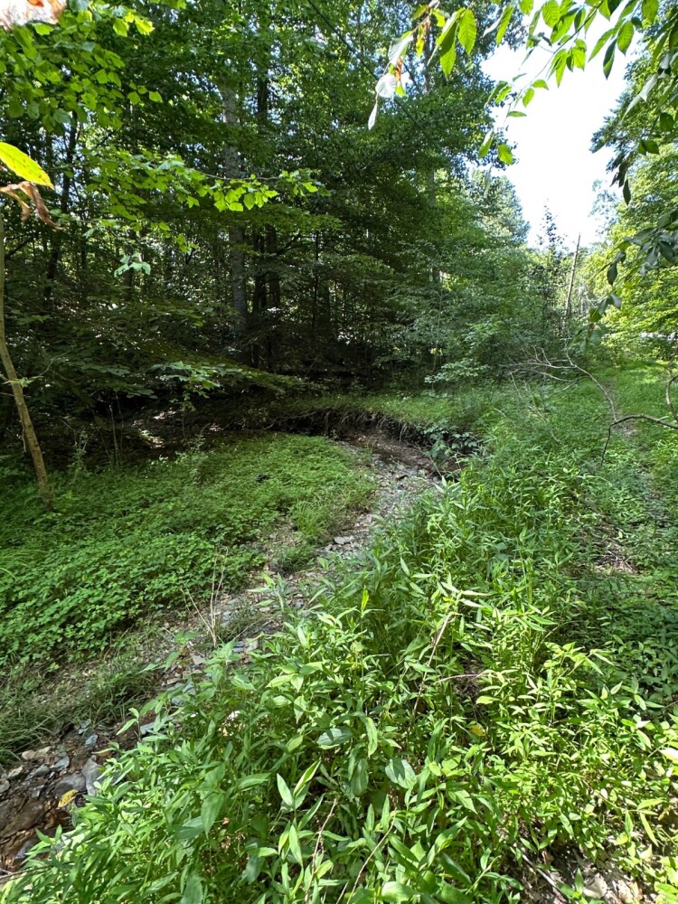 Land for Sale in Casey County, KY (19 of 34)