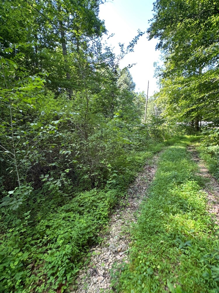 Land for Sale in Casey County, KY (20 of 34)