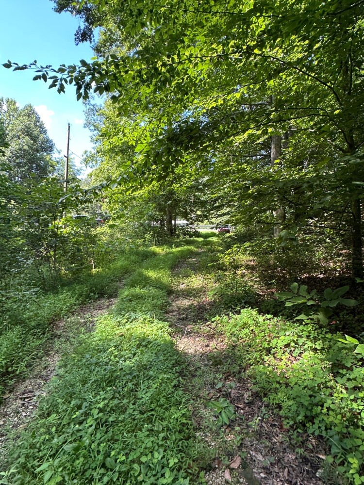 Land for Sale in Casey County, KY (24 of 34)