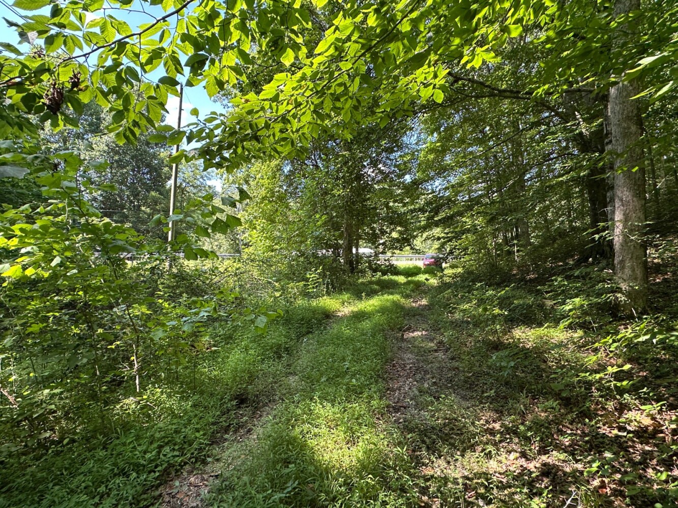 Land for Sale in Casey County, KY (25 of 34)