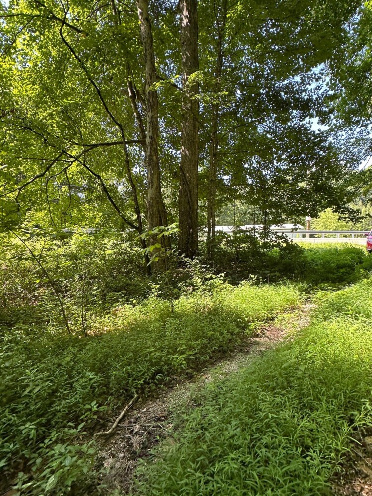 Land for Sale in Casey County, KY (26 of 34)
