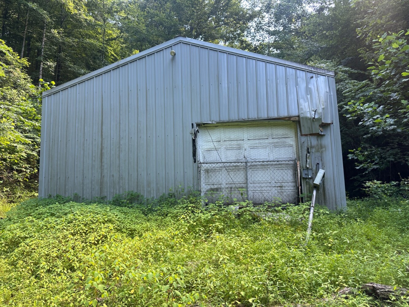 Land for Sale in Casey County, KY (27 of 34)
