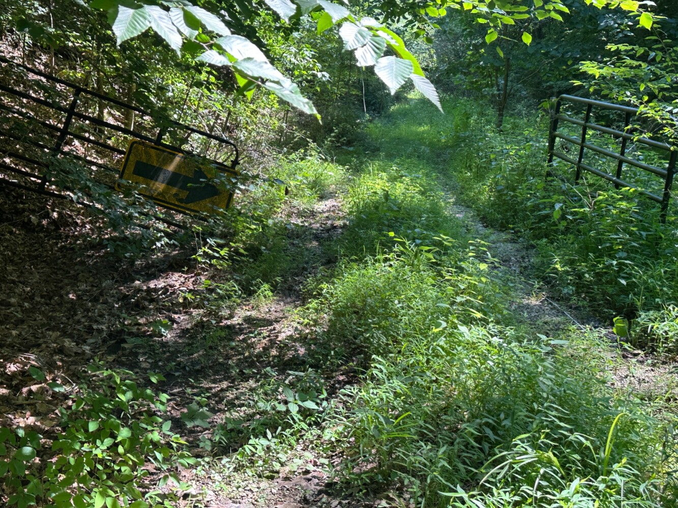 Land for Sale in Casey County, KY (29 of 34)