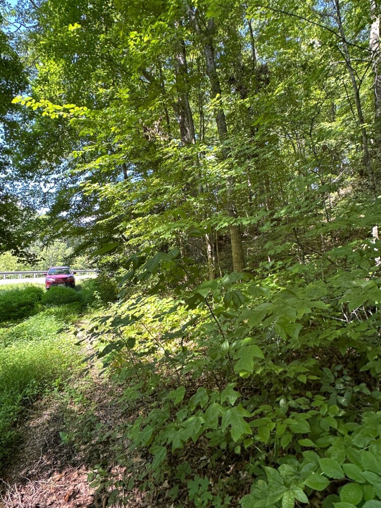 Land for Sale in Casey County, KY (34 of 34)