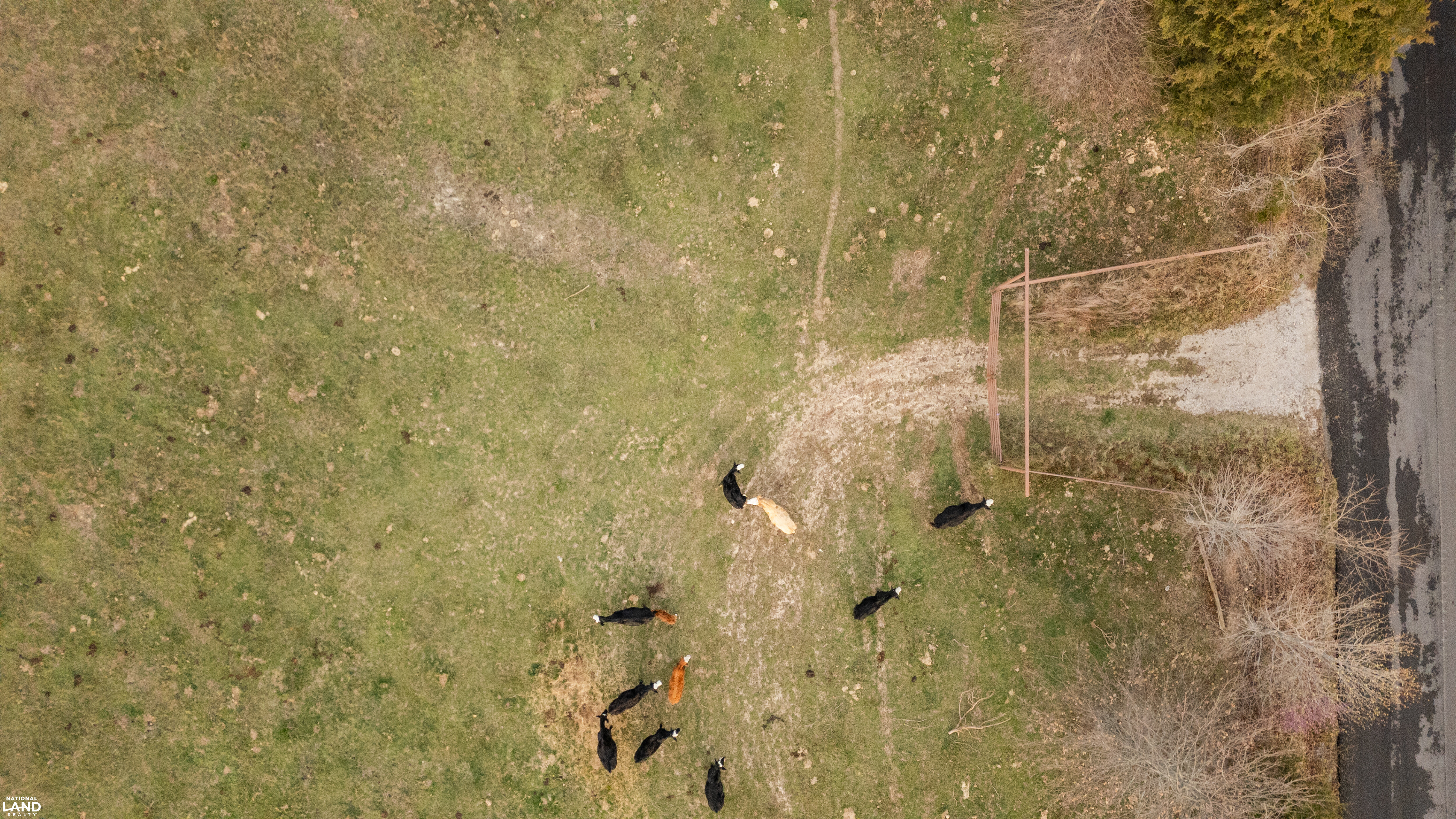 Multi purpose farm in the heart of the Ozarks in Christian County, MO (26 of 36)