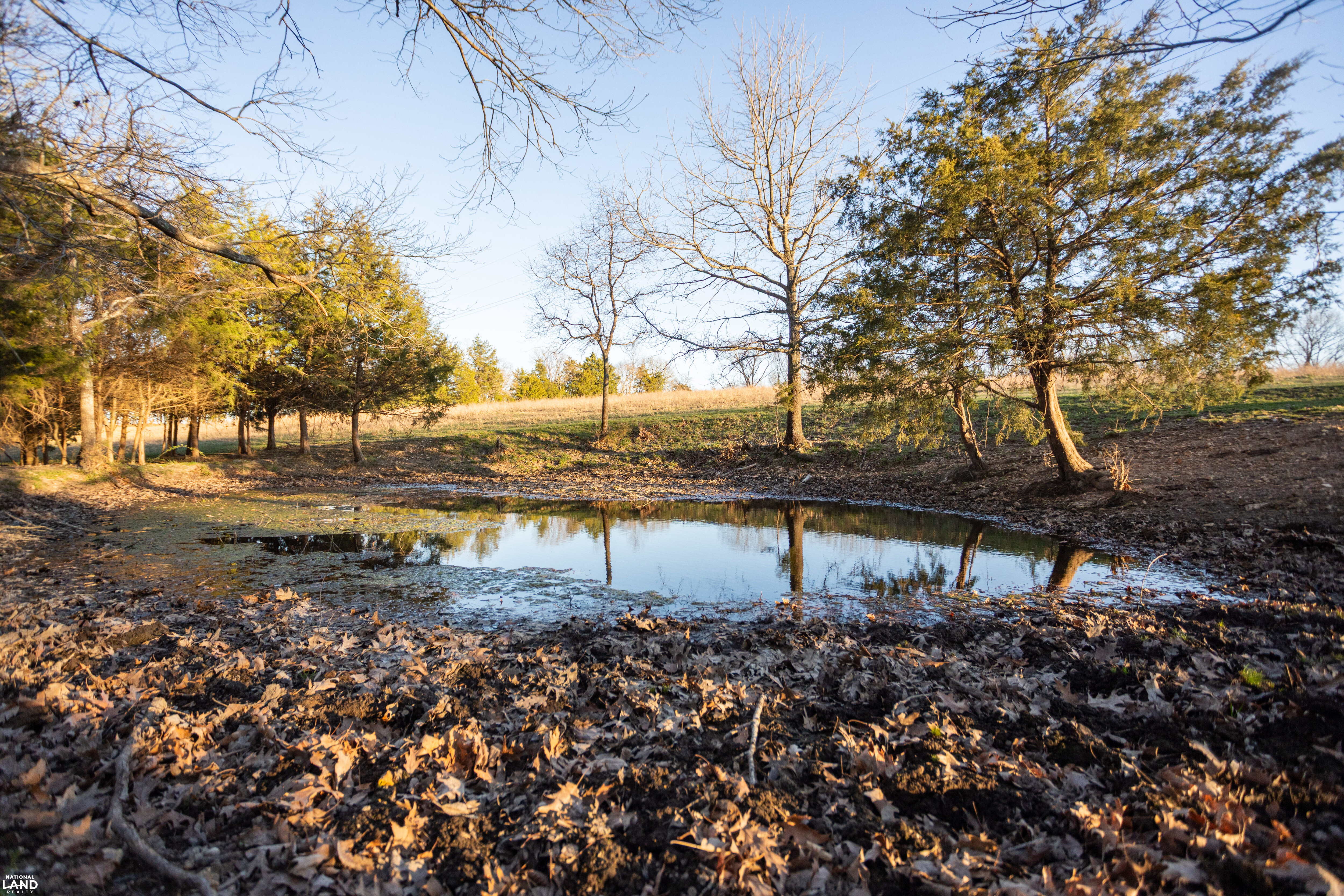 Multi purpose farm in the heart of the Ozarks in Christian County, MO (35 of 36)
