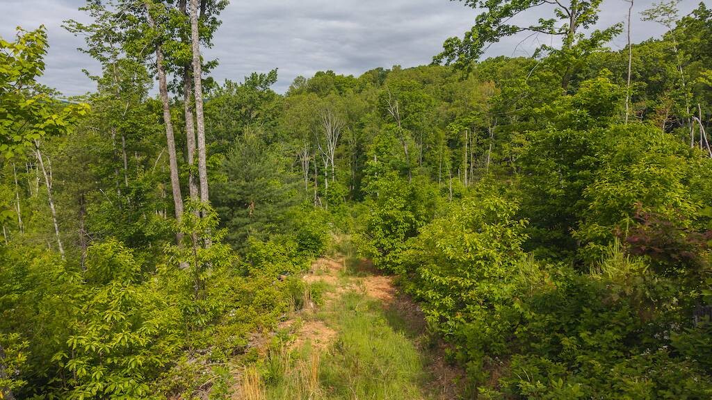 Land for Sale in Wilkes County, NC (1 of 24)