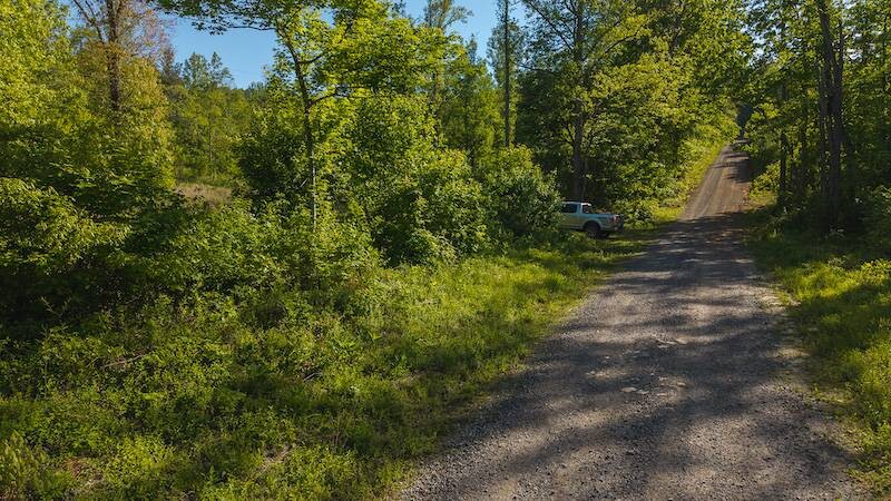 Land for Sale in Wilkes County, NC (3 of 24)