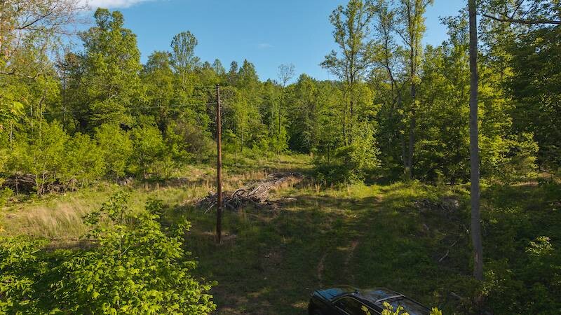 Land for Sale in Wilkes County, NC (4 of 24)