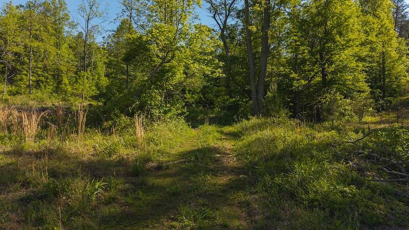 Land for Sale in Wilkes County, NC (5 of 24)
