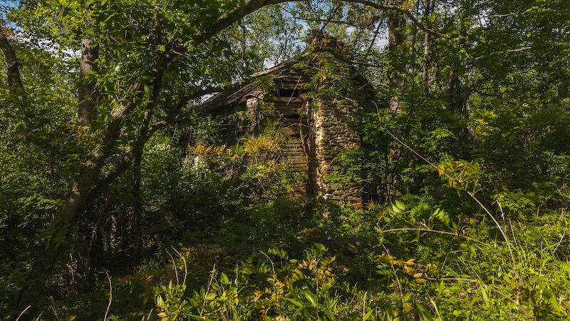 Land for Sale in Wilkes County, NC (8 of 24)