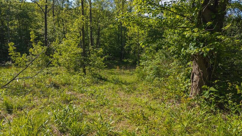 Land for Sale in Wilkes County, NC (10 of 24)
