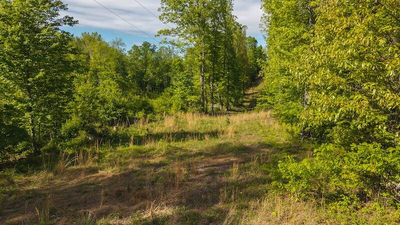 Land for Sale in Wilkes County, NC (11 of 24)