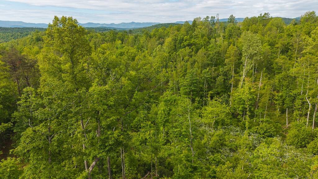 Land for Sale in Wilkes County, NC (18 of 24)