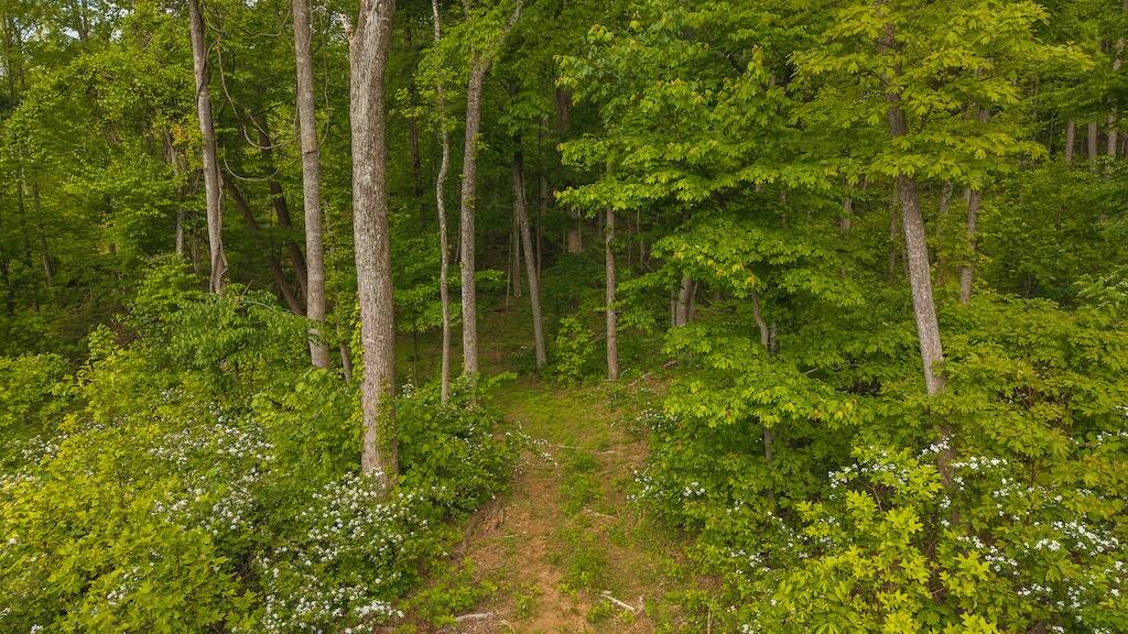 Land for Sale in Wilkes County, NC (21 of 24)