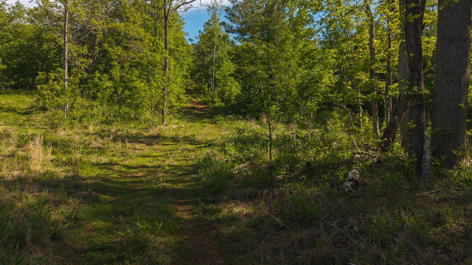 Land for Sale in Wilkes County, NC (22 of 24)