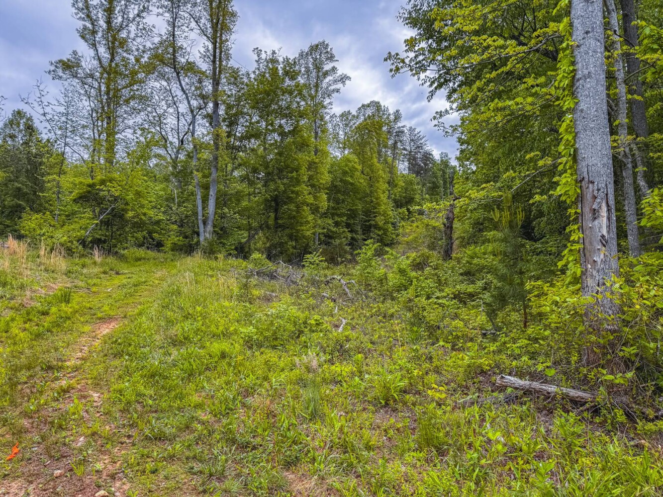 Land for Sale in Wilkes County, NC (24 of 24)