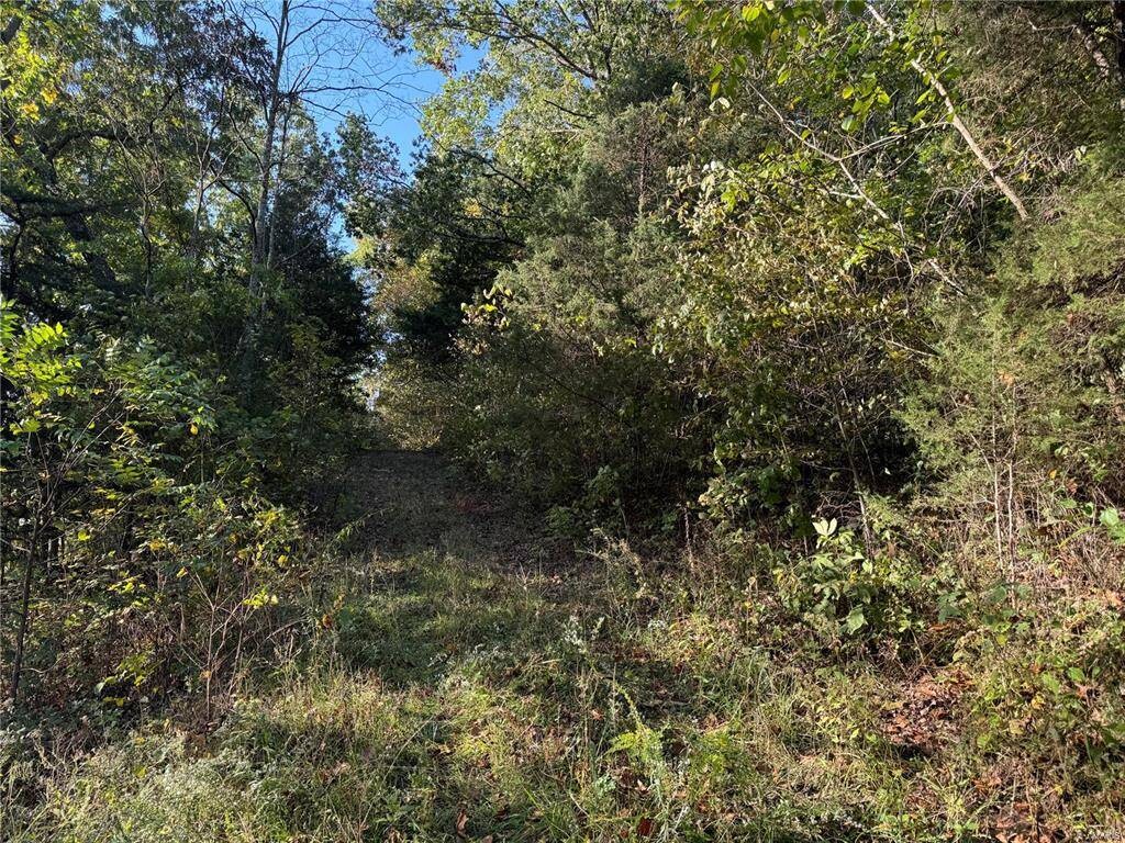 Land for Sale in Pulaski County, MO (4 of 10)