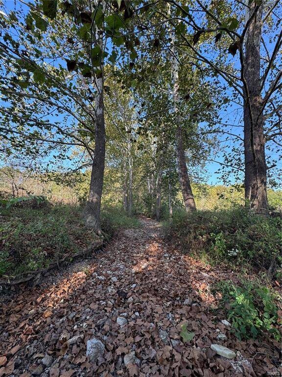 Land for Sale in Pulaski County, MO (5 of 10)