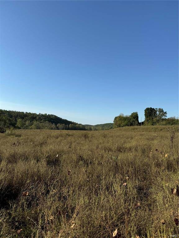 Land for Sale in Pulaski County, MO (6 of 10)