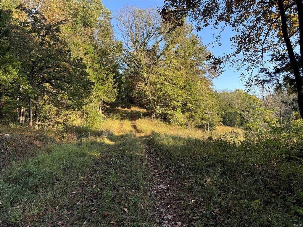 Land for Sale in Pulaski County, MO (8 of 10)