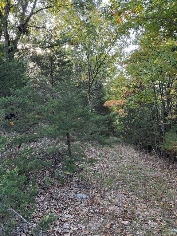 Land for Sale in Pulaski County, MO (9 of 10)