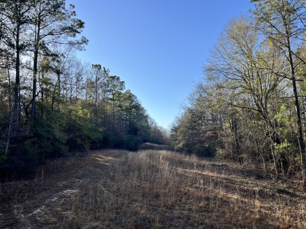 Listing image 0