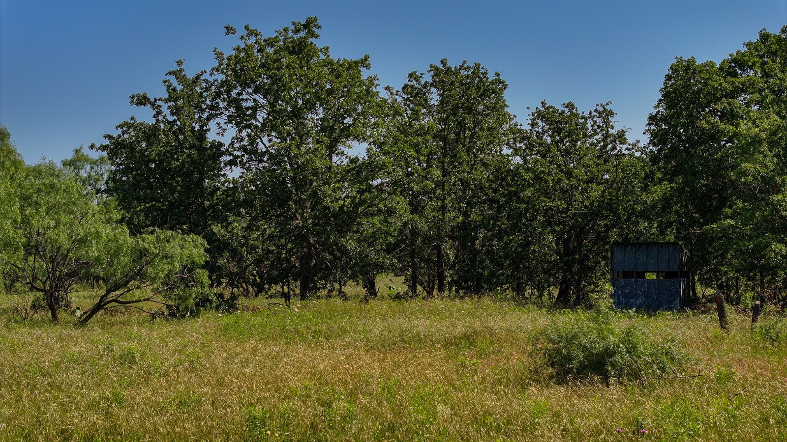 Land for Sale in Young County, TX (1 of 67)