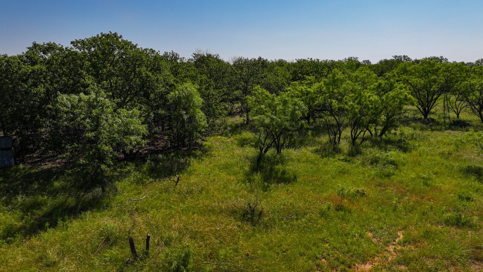 Land for Sale in Young County, TX (2 of 67)