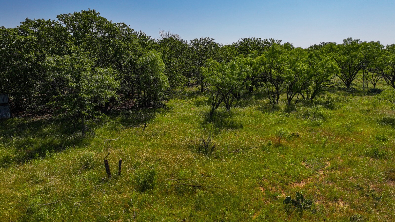 Land for Sale in Young County, TX (3 of 67)