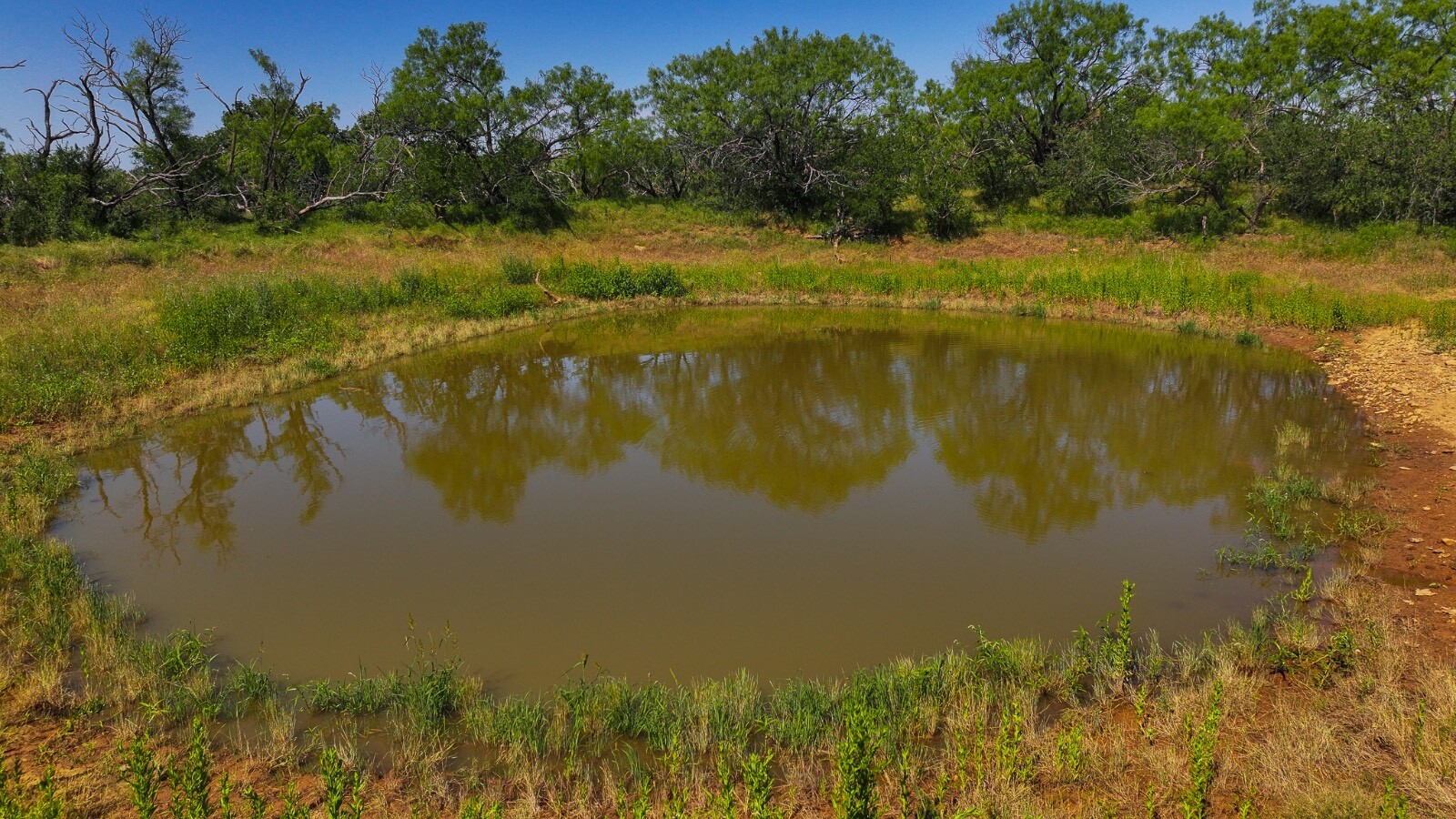 Land for Sale in Young County, TX (5 of 67)