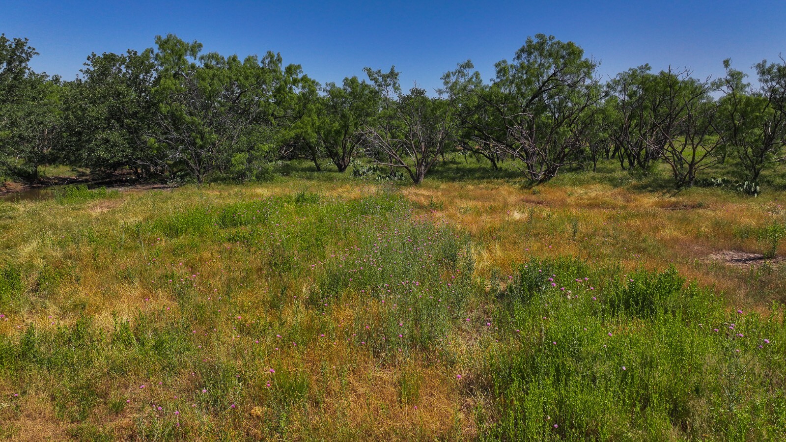 Land for Sale in Young County, TX (7 of 67)