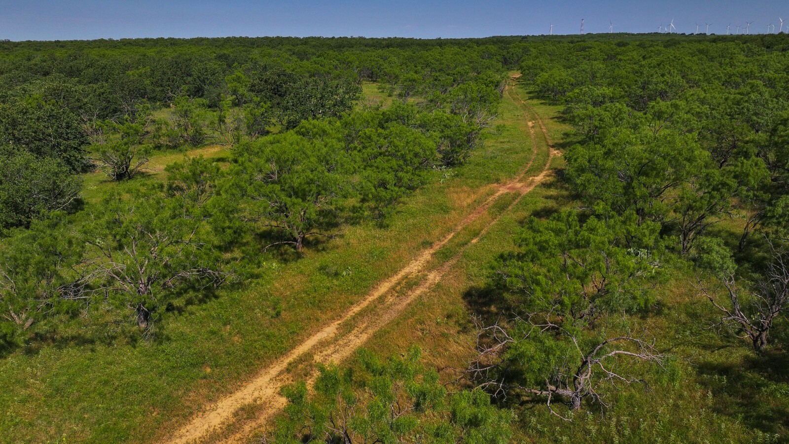 Land for Sale in Young County, TX (8 of 67)