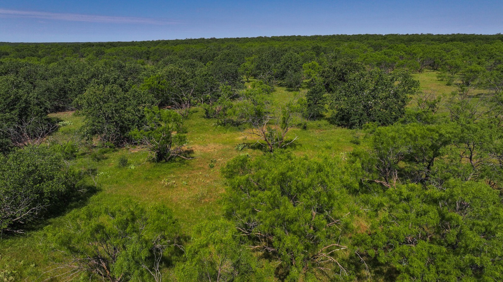 Land for Sale in Young County, TX (9 of 67)
