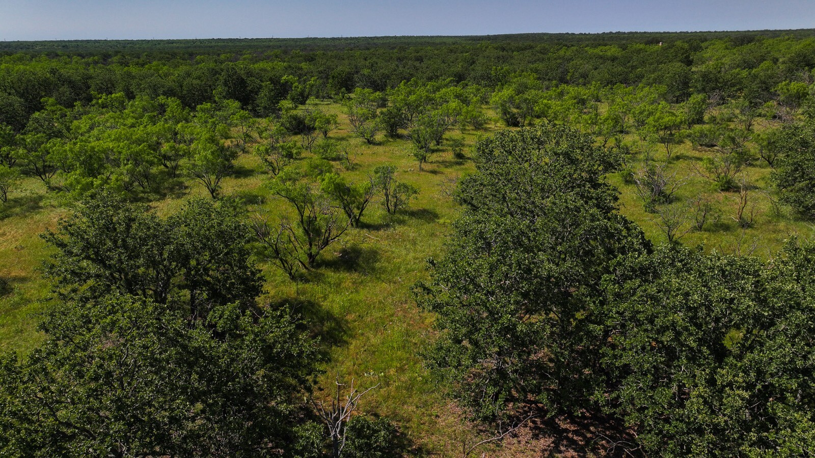 Land for Sale in Young County, TX (10 of 67)