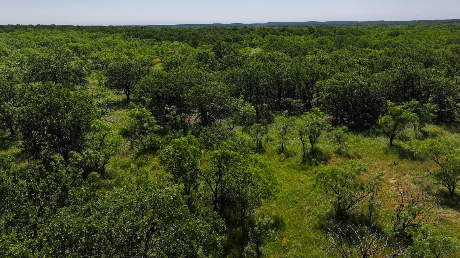 Land for Sale in Young County, TX (11 of 67)
