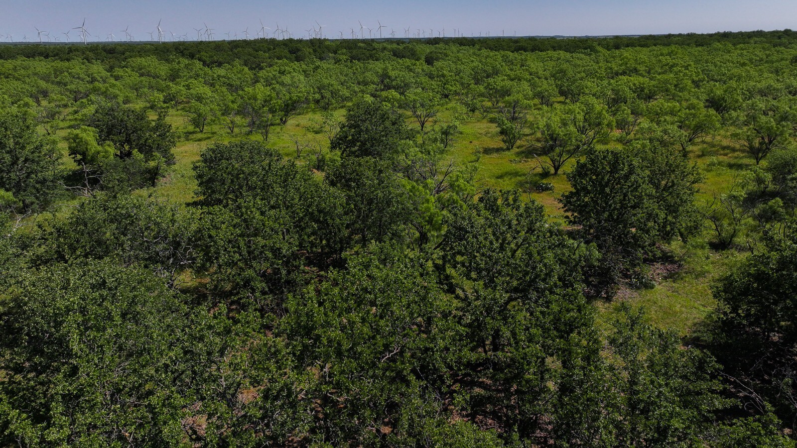 Land for Sale in Young County, TX (12 of 67)