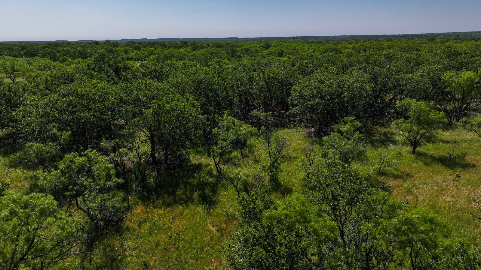 Land for Sale in Young County, TX (13 of 67)