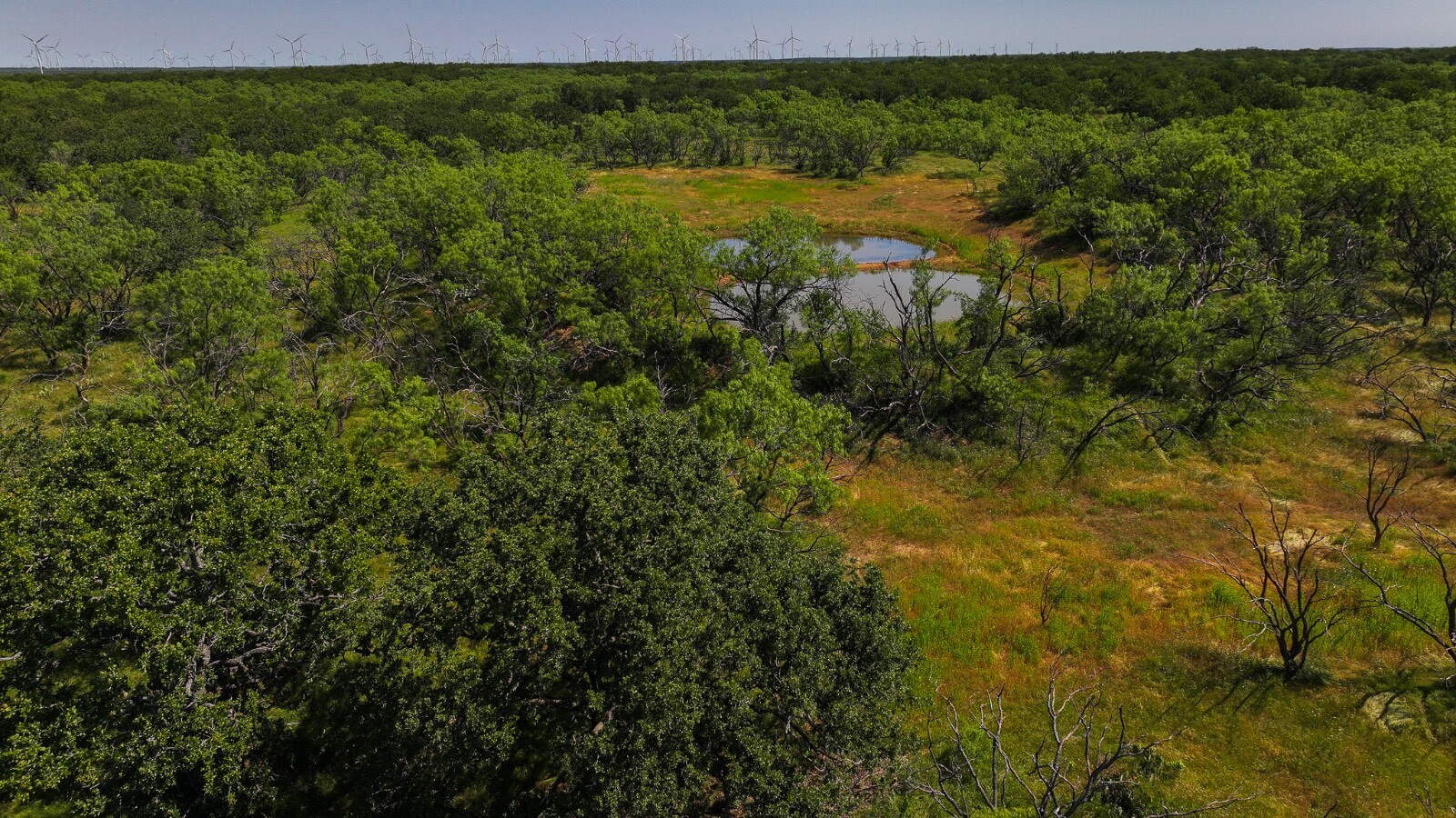 Land for Sale in Young County, TX (16 of 67)