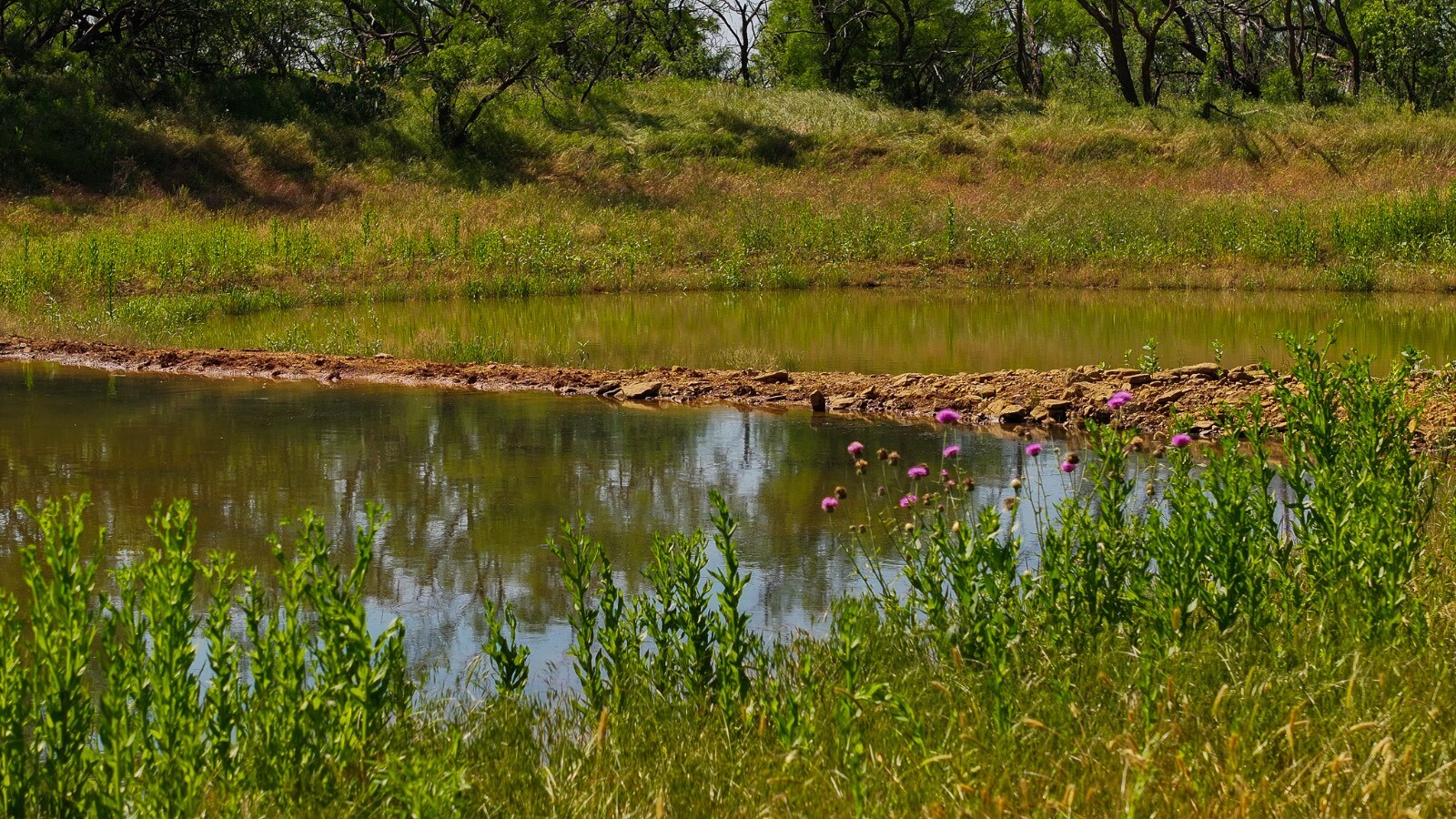 Land for Sale in Young County, TX (17 of 67)