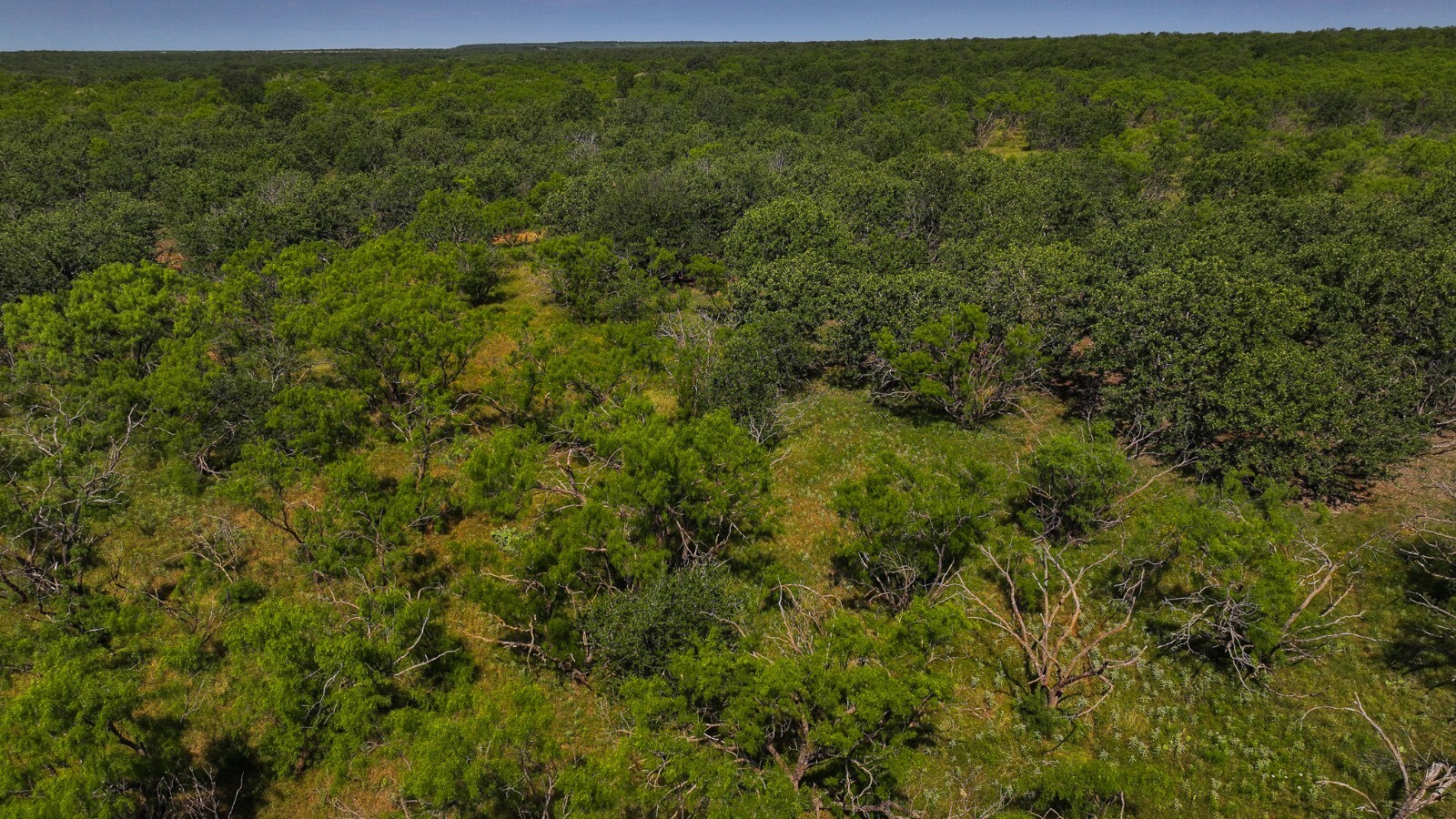 Land for Sale in Young County, TX (20 of 67)