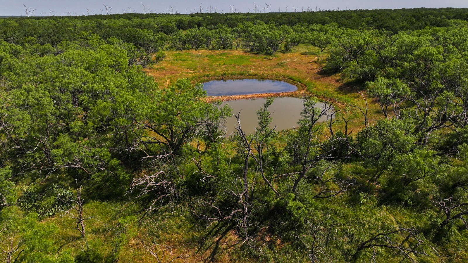 Land for Sale in Young County, TX (21 of 67)