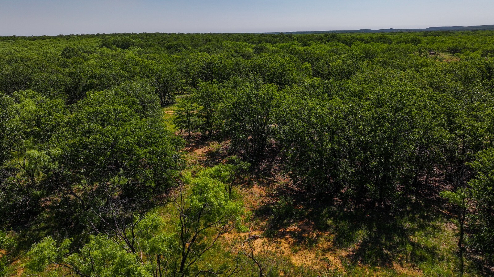 Land for Sale in Young County, TX (22 of 67)