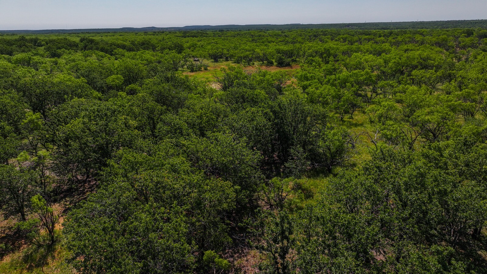 Land for Sale in Young County, TX (23 of 67)