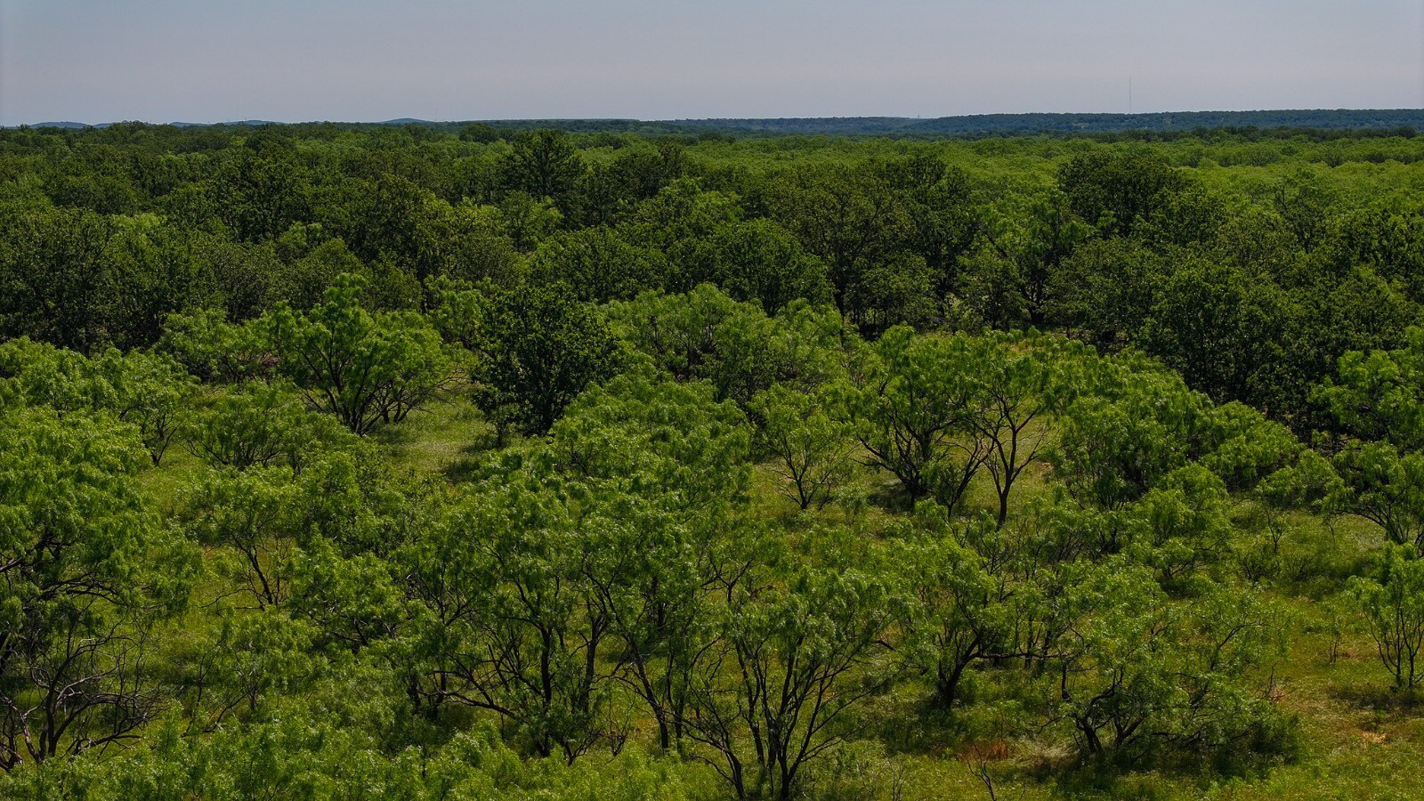 Land for Sale in Young County, TX (24 of 67)