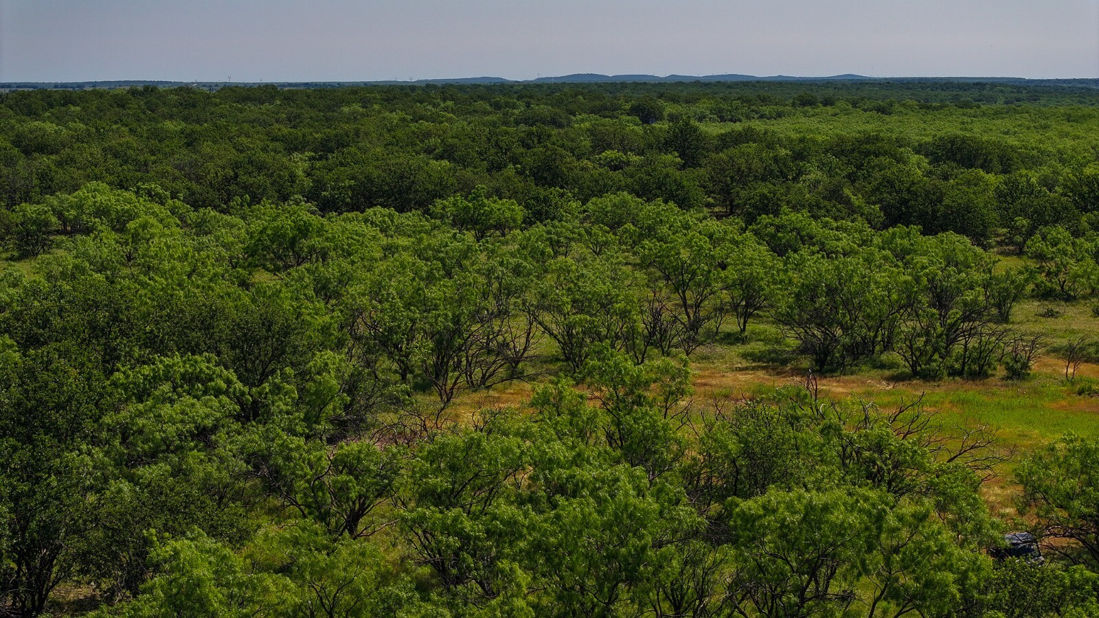 Land for Sale in Young County, TX (25 of 67)