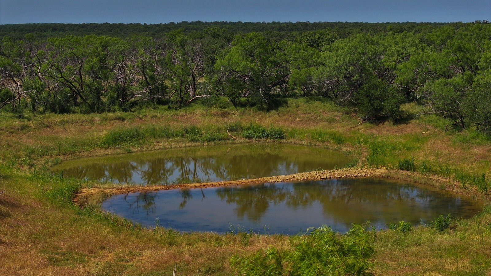 Land for Sale in Young County, TX (26 of 67)