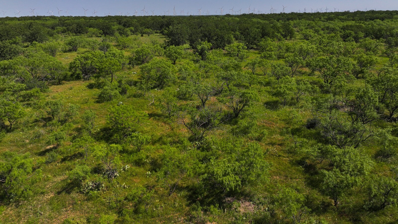 Land for Sale in Young County, TX (27 of 67)