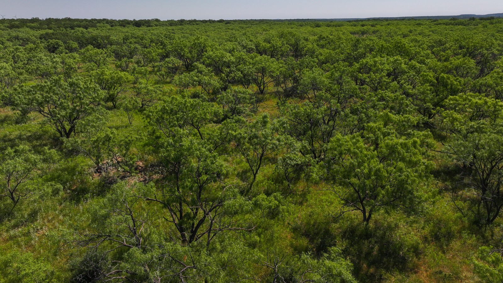 Land for Sale in Young County, TX (28 of 67)